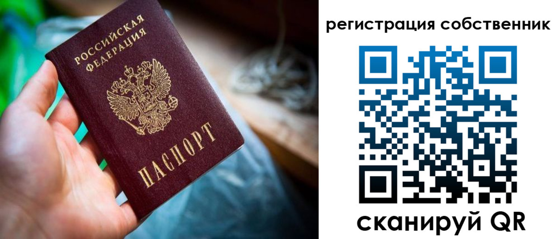 прописка гарантия в Кизеле